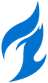 Dallas Fuel logo
